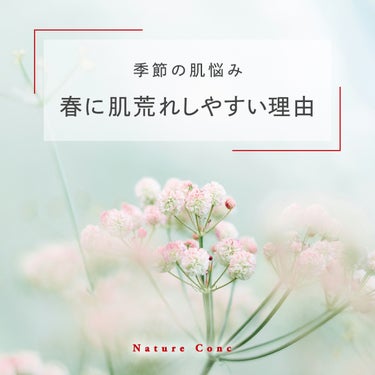 ネイチャーコンク 薬用クリアローションのクチコミ「＼春の肌はあれやすい／

【季節の肌悩み】
春に肌荒れしやすい理由

01｜ホコリ・花粉・PM.....」（1枚目）