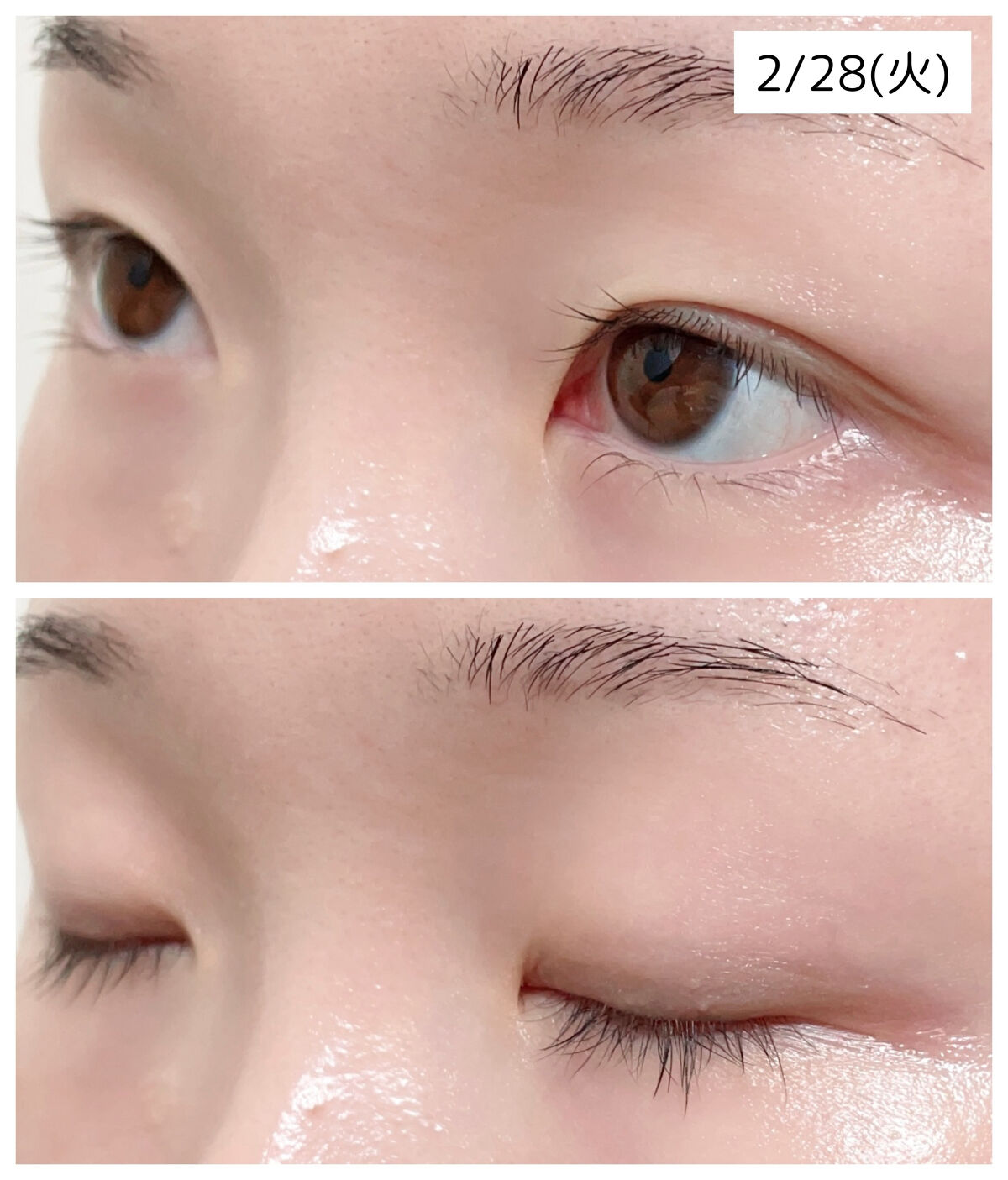 ラッシュアディクト アイラッシュコンディショニングセラム/soaddicted/まつげ美容液を使ったクチコミ（2枚目）