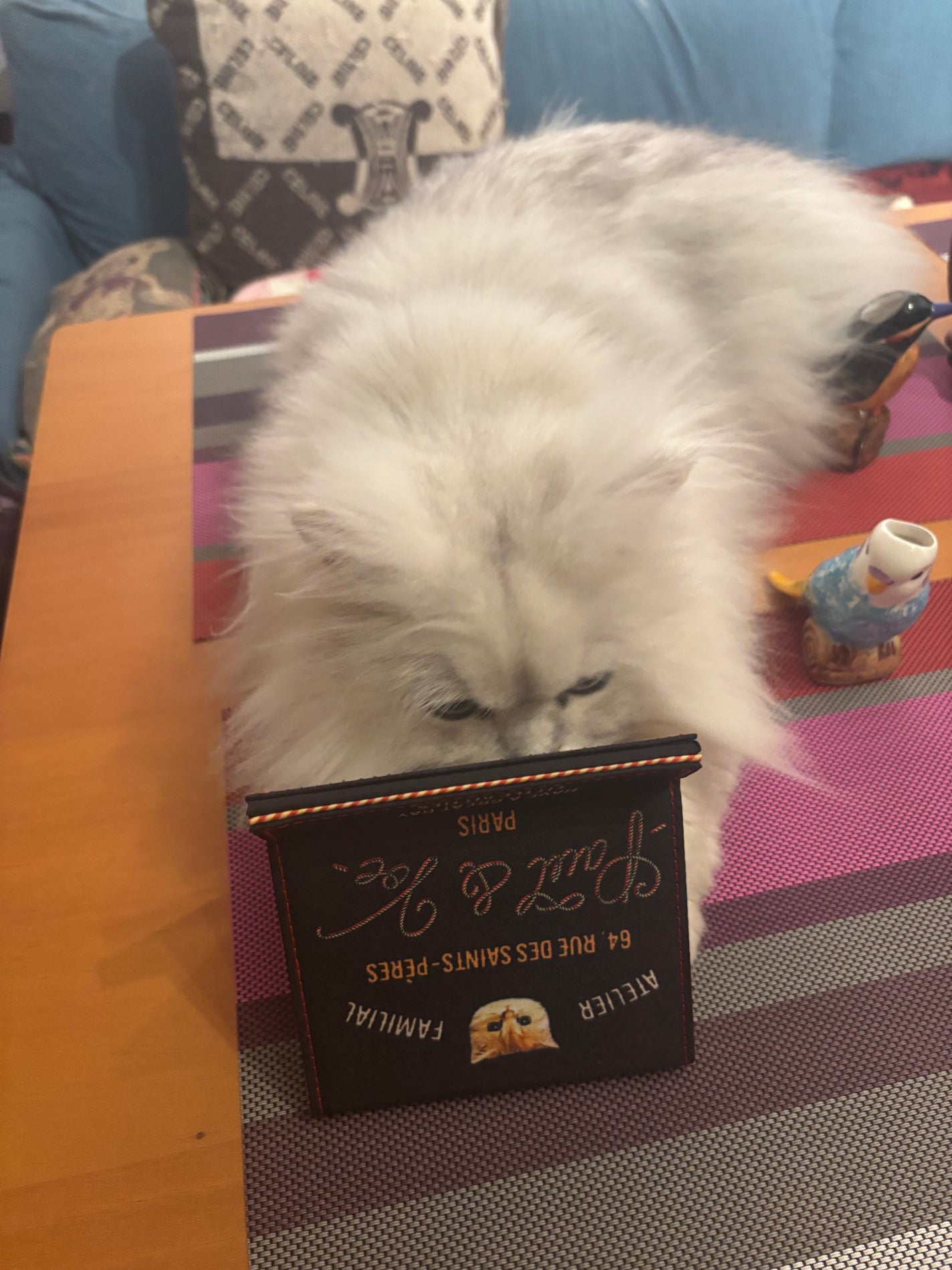 666Anonymous666 on LIPS 「#見とれる俺達#同じ猫達#嫉妬で噛むポール牧じゃなくて(古いに..」(4枚目)