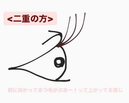 いもも on LIPS 「こんにちは!『いもも』です😉私が今日取りたげたいのは、まつ毛に..」(2枚目)