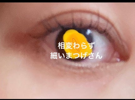 ラッシュアディクト アイラッシュコンディショニングセラム/soaddicted/まつげ美容液を使ったクチコミ(2枚目)