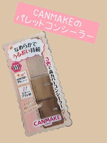 カラーミキシングコンシーラー/キャンメイク/パレットコンシーラーを使ったクチコミ（1枚目）