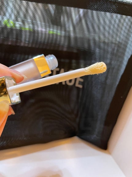 ディオール アディクト リップ マキシマイザー セラム/Dior/リップ美容液を使ったクチコミ(2枚目)