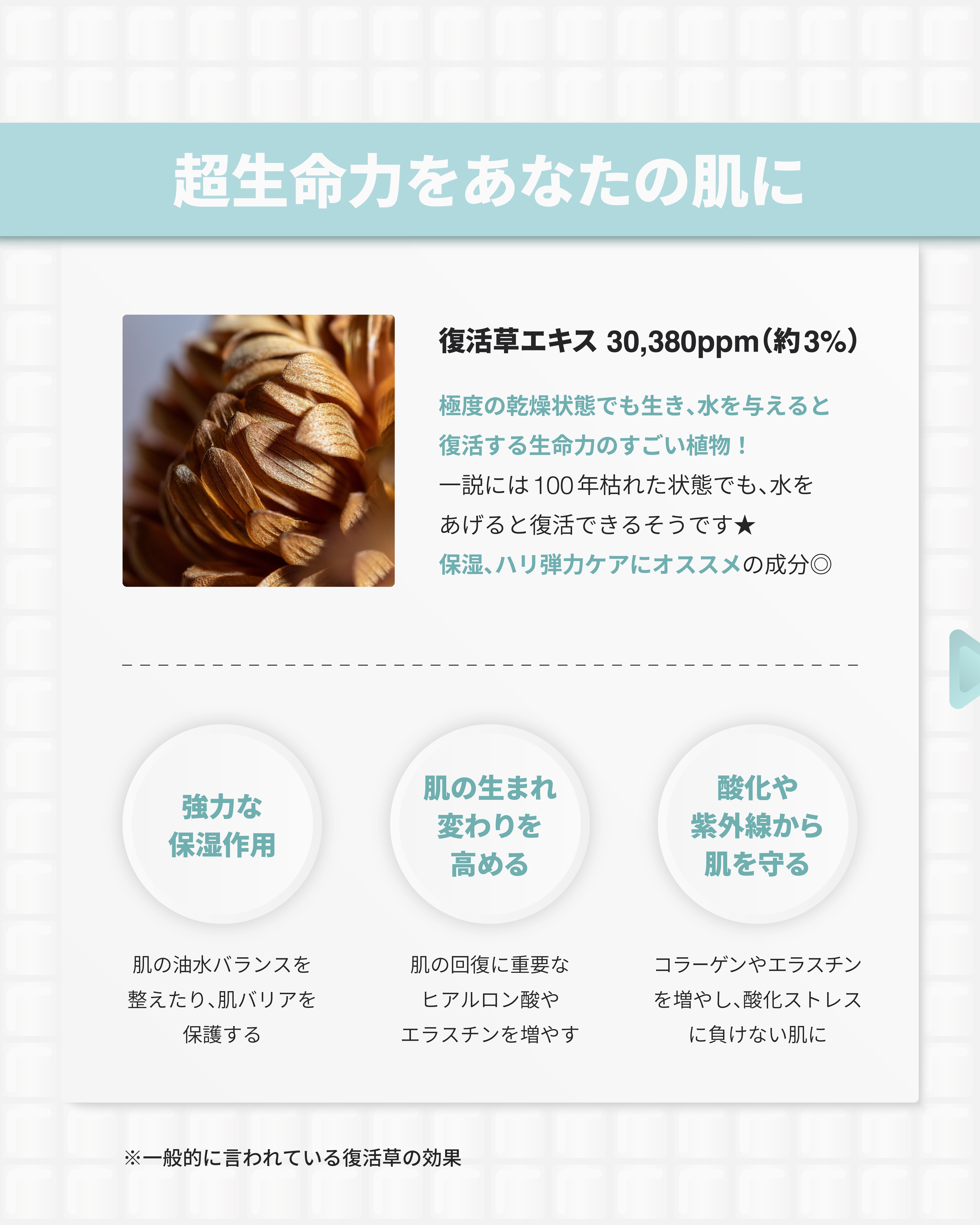 復活草クリーム ニュートリションチューブ/Abib /フェイスクリームを使ったクチコミ（3枚目）