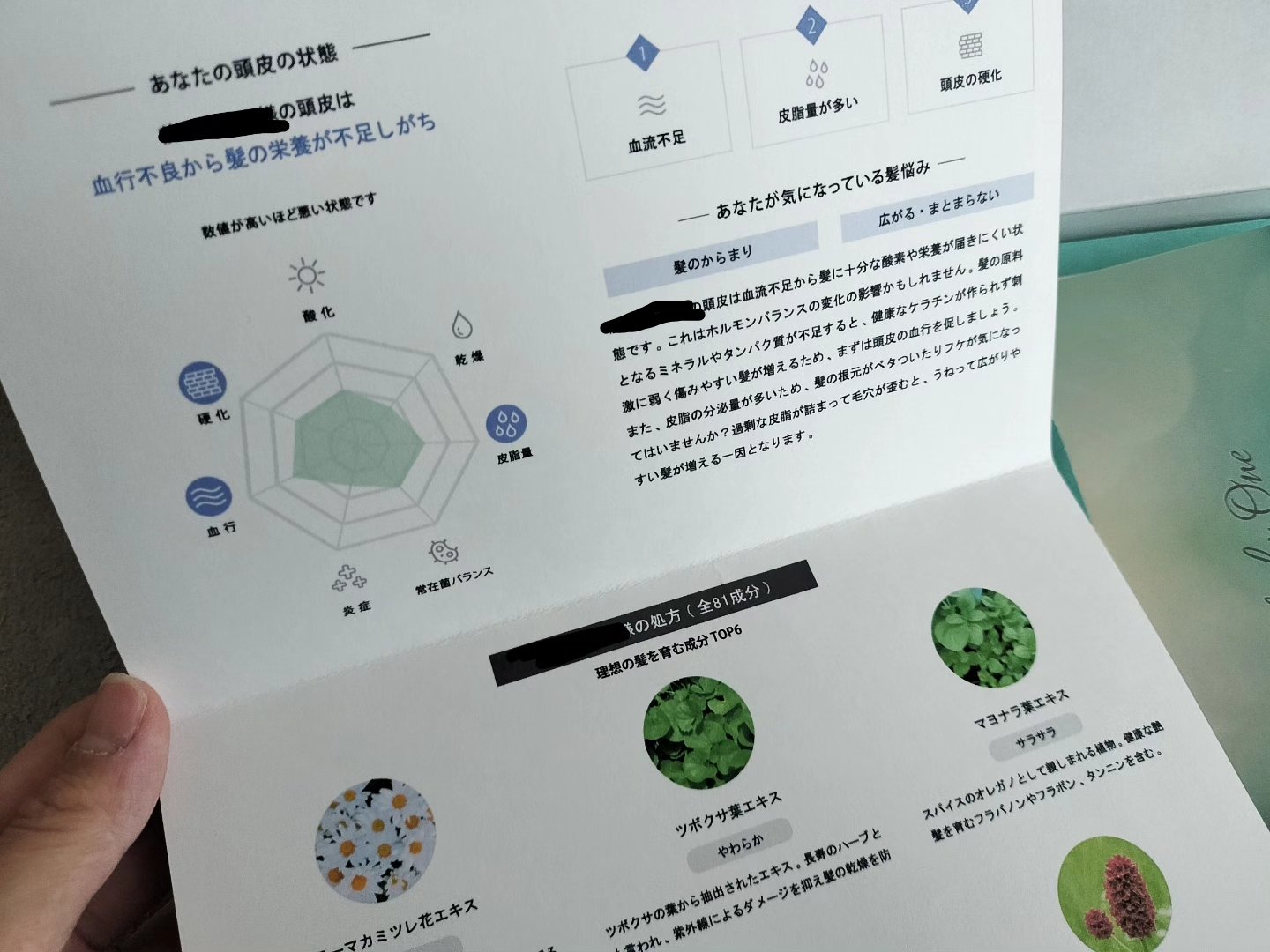 オンリーユースカルプセラム/hoLy_One/頭皮ローションを使ったクチコミ（2枚目）