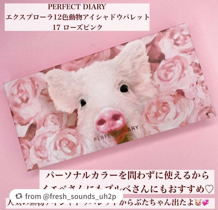 エクスプローラ12色 動物アイシャドウパレット/PERFECT DIARY/アイシャドウパレットを使ったクチコミ(2枚目)