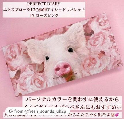 エクスプローラ12色 動物アイシャドウパレット/PERFECT DIARY/アイシャドウパレットを使ったクチコミ(2枚目)