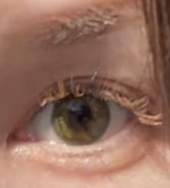 カラーラッシュ 02 オレンジ/D-UP/つけまつげを使ったクチコミ（1枚目）