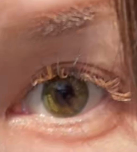 カラーラッシュ/D-UP/つけまつげを使ったクチコミ(1枚目)