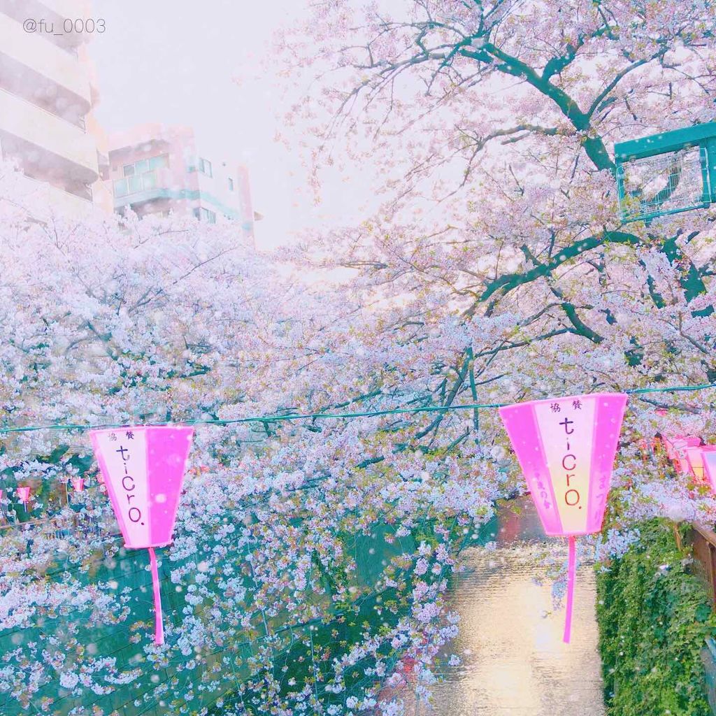 アディクション ザ アイシャドウ/ADDICTION/単色アイシャドウを使ったクチコミ(4枚目)