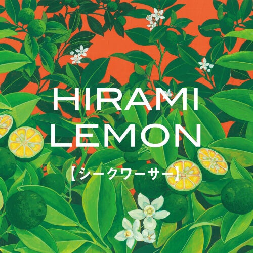 Botanical ネイル&ハンドクリーム シークワーサー/Ryu Spa/ハンドクリームを使ったクチコミ(9枚目)