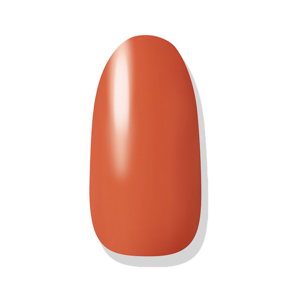 ネイルホリック Ethnic color OR207