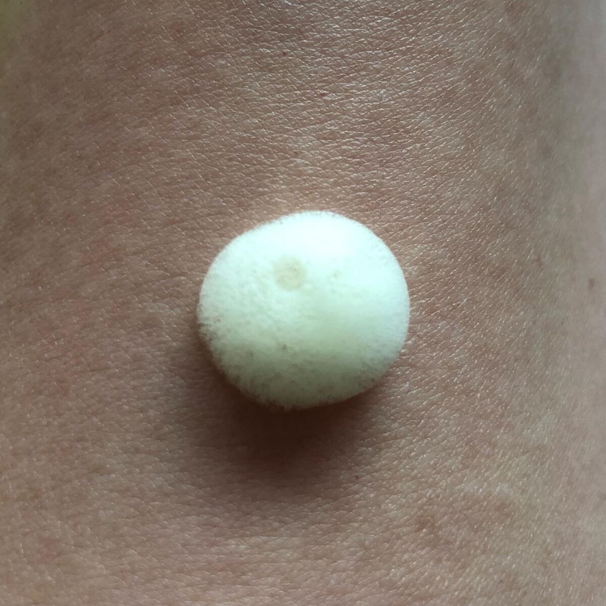 バブルエステ 炭酸洗顔フォーム/AMPULE SHOT/泡洗顔を使ったクチコミ(5枚目)