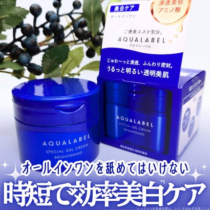 スペシャルジェルクリーム EX (ブライトニング) /アクアレーベル/オールインワン化粧品を使ったクチコミ(1枚目)