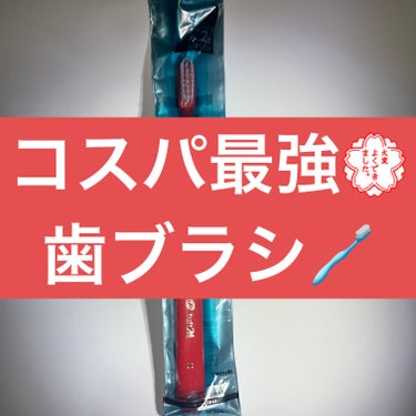 タフト24/タフト/歯ブラシを使ったクチコミ（1枚目）