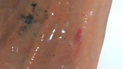 夢みるバーム 海泥スムースモイスチャー/ロゼット/クレンジングバームを使ったクチコミ(5枚目)