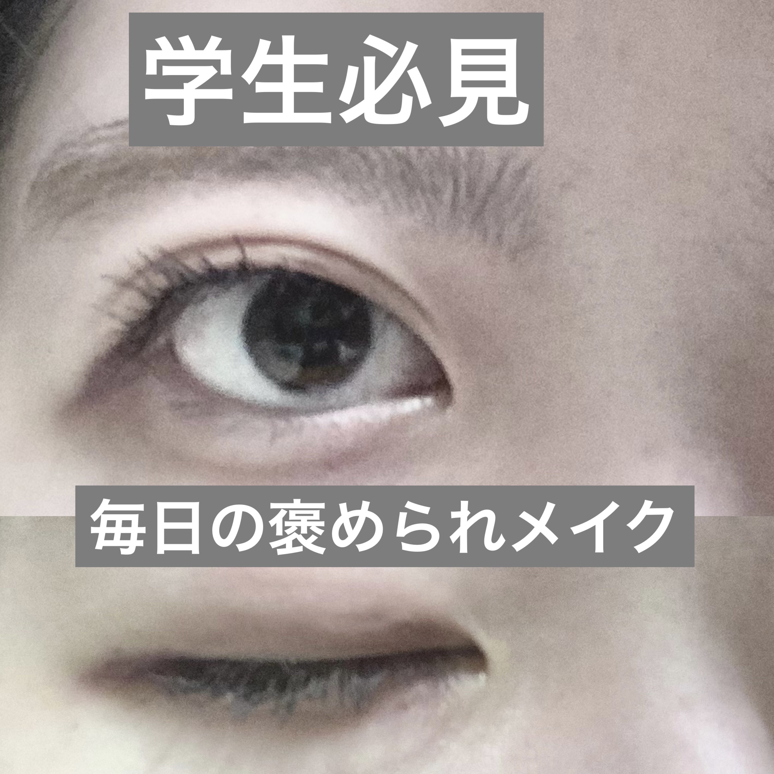 パーフェクトマルチアイズ/キャンメイク/アイシャドウパレットを使ったクチコミ（1枚目）