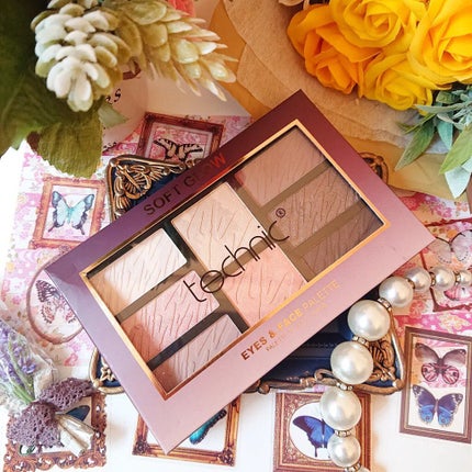 technic/technic/アイシャドウパレットを使ったクチコミ(6枚目)