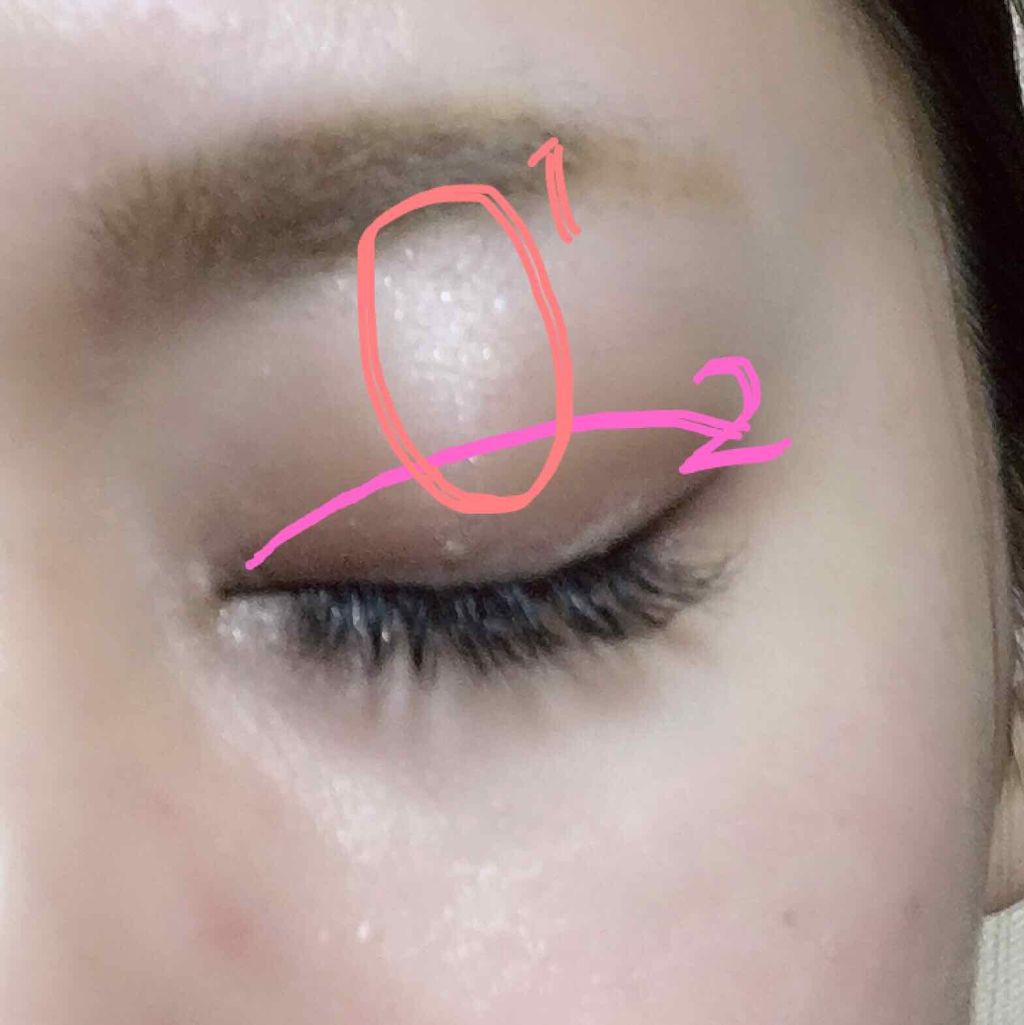 スキンモデリングアイズ/LUNASOL/アイシャドウパレットを使ったクチコミ（2枚目）