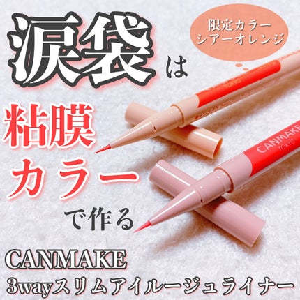 3wayスリムアイルージュライナー/キャンメイク/リキッドアイライナーを使ったクチコミ(1枚目)