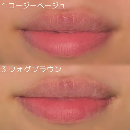 コットンメルティングリップ/ネイチャーリパブリック/口紅を使ったクチコミ(4枚目)