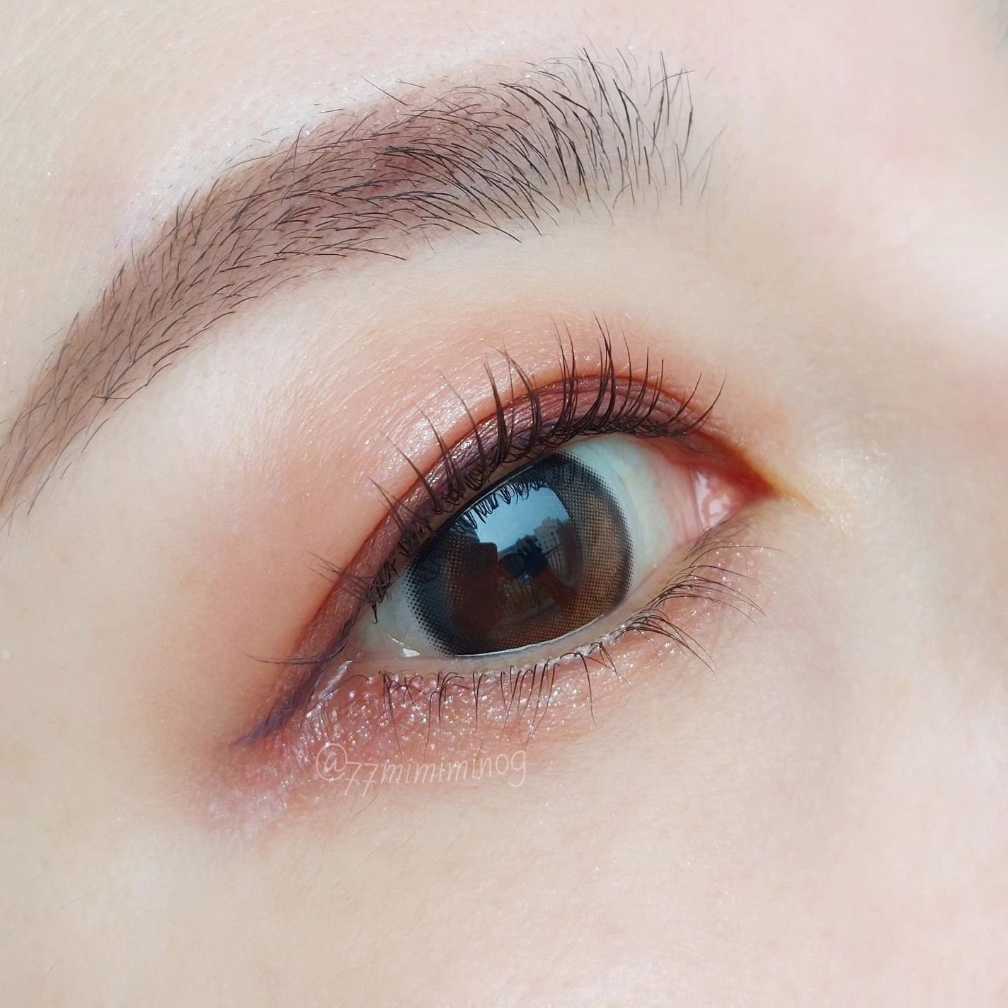 20th アニバーサリー アイ&ブラッシュ コンパクト/SUQQU/アイシャドウパレットを使ったクチコミ(5枚目)