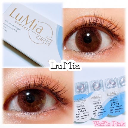 LuMia comfort 1day CIRCLE/LuMia/ワンデー(1DAY)カラコンを使ったクチコミ(1枚目)