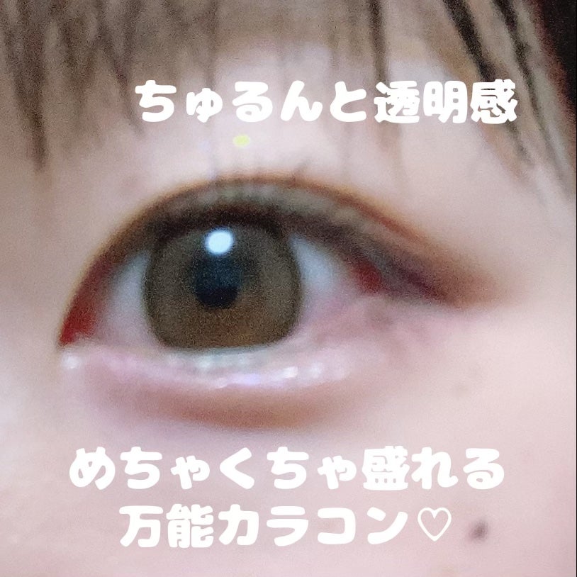 エバーカラーワンデー ナチュラル/エバーカラー/ワンデー(1DAY)カラコンを使ったクチコミ(1枚目)