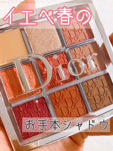 ディオール バックステージ アイ パレット/Dior/アイシャドウパレットを使ったクチコミ（1枚目）