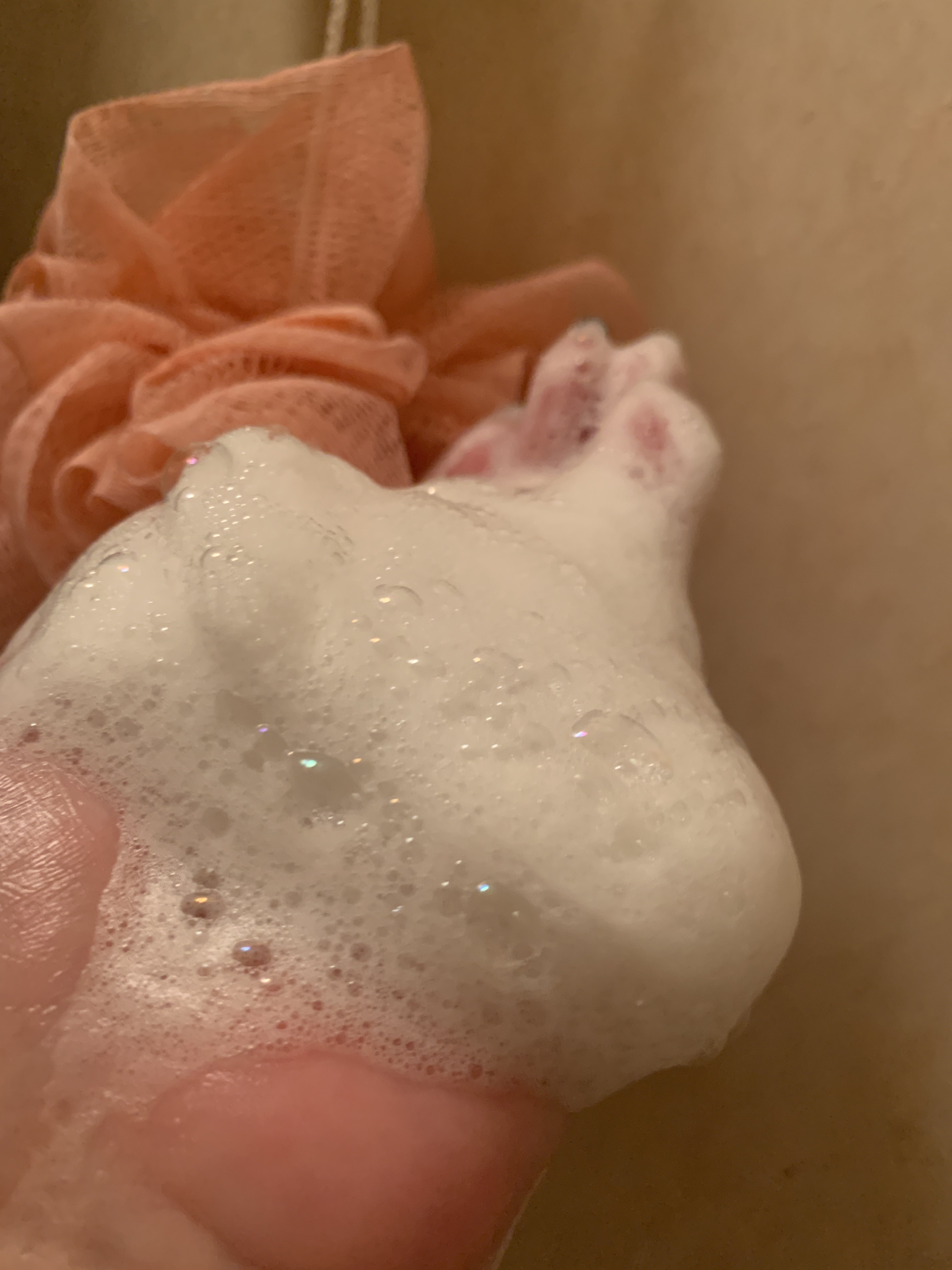 蜂石～HŌSEKI～/Bee Treasure/ボディ石鹸を使ったクチコミ（3枚目）