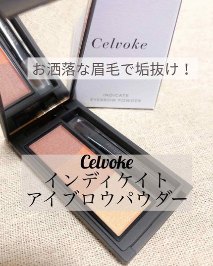 セルヴォーク インディケイトアイブロウパウダー/Celvoke/パウダーアイブロウを使ったクチコミ(1枚目)