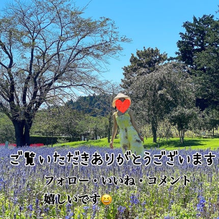 デンタルピルクリーム(医薬品)/メディケア/その他を使ったクチコミ(3枚目)