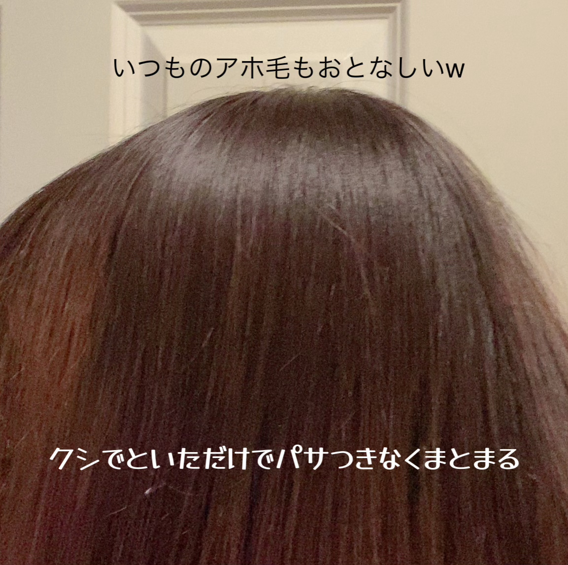 モイスト&リペアシャンプー／トリートメント/NARTH/市販シャンプーを使ったクチコミ（3枚目）