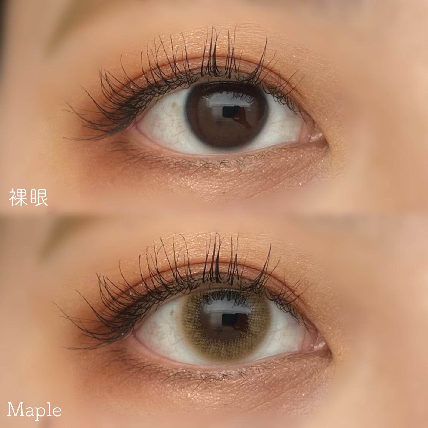 HARNE 1day/HARNE/ワンデー(1DAY)カラコンを使ったクチコミ(5枚目)