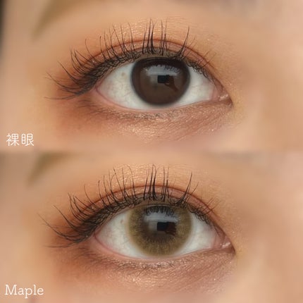 HARNE 1day/HARNE/ワンデー(1DAY)カラコンを使ったクチコミ(5枚目)