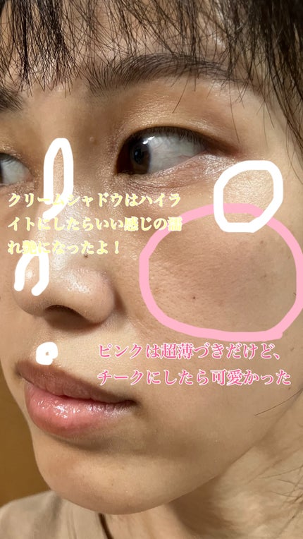 アイデイト カスタムマルチパレット/IDATE/アイシャドウパレットを使ったクチコミ(3枚目)