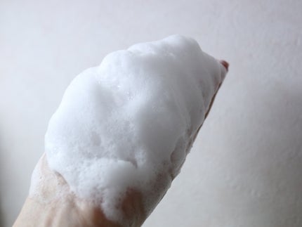 シャンプー/ヘアコンディショナー(旧)/セグレタ/市販シャンプーを使ったクチコミ(2枚目)