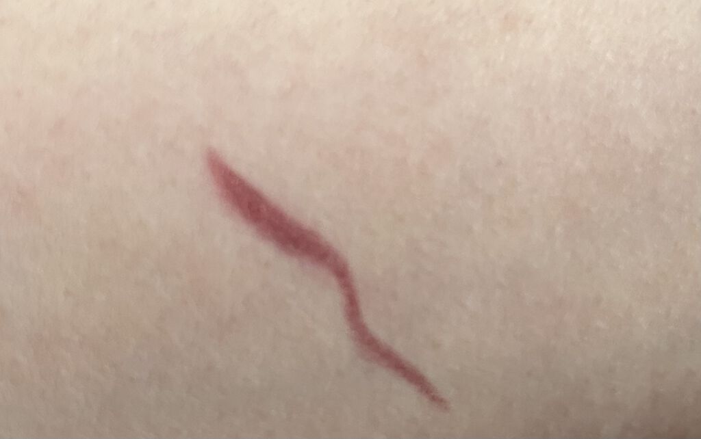 エグザジェレート ラスティングリキッドアイライナー WP 108/リンメル ロンドン/リキッドアイライナーを使ったクチコミ（2枚目）