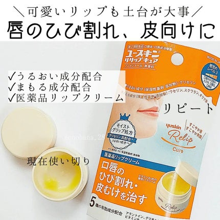 ユースキン メディカルリップクリーム  (医薬品)/ユースキン/その他を使ったクチコミ(1枚目)