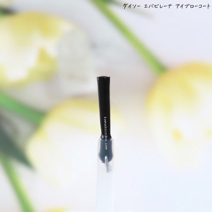 DAISO エバビレーナ アイブローコートのクチコミ「𖤐DAISO ダイソー エバビレーナ アイブローコート
手持ちのまゆずみを
ウォーター.....」(3枚目)