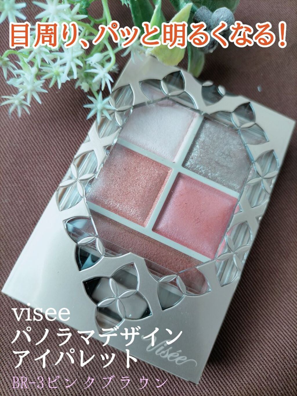 パノラマデザイン アイパレット/Visée/アイシャドウパレットを使ったクチコミ(1枚目)