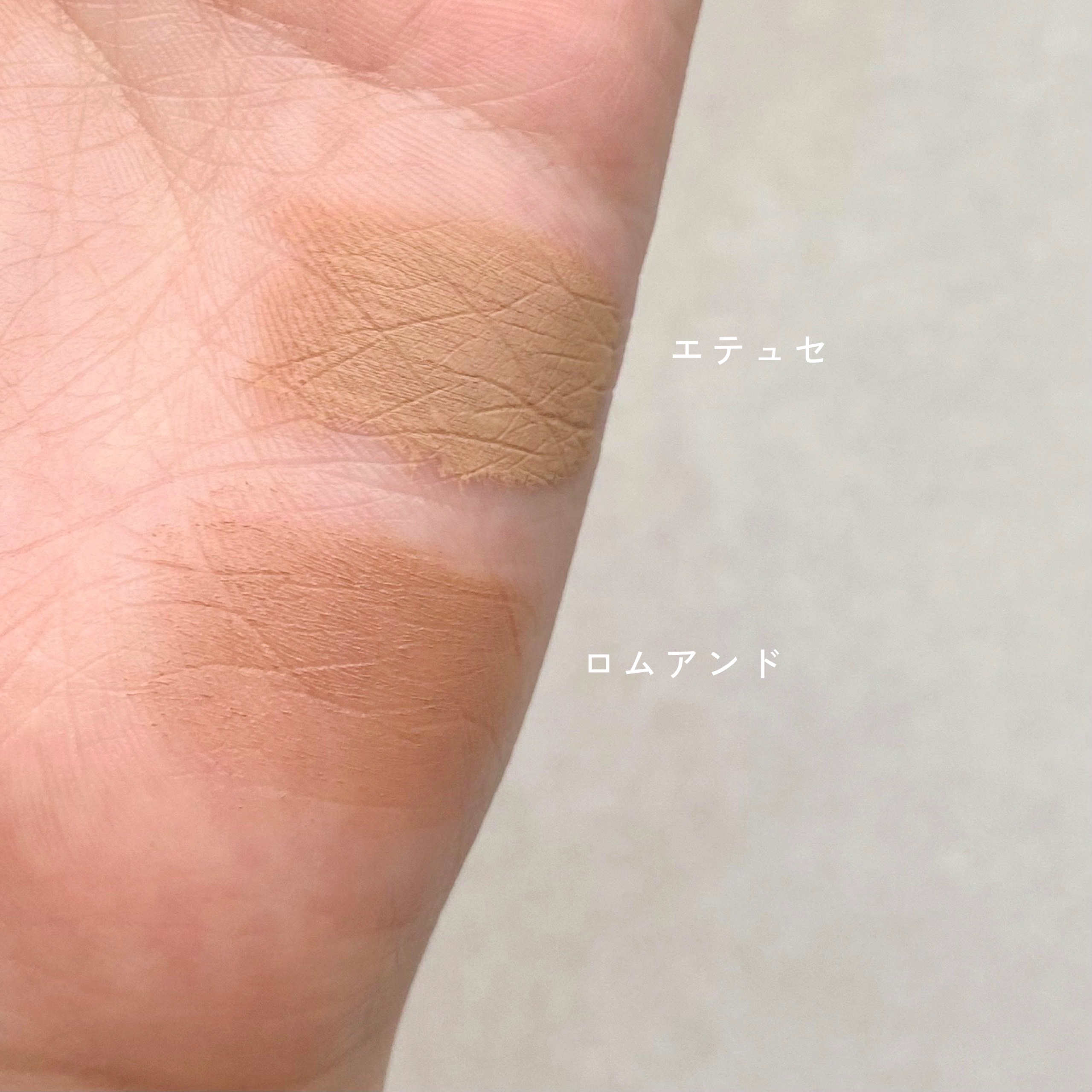 エテュセ アイエディション(ブロウコンシーラー) コンシーラーベージュ/ettusais/その他アイブロウを使ったクチコミ（3枚目）