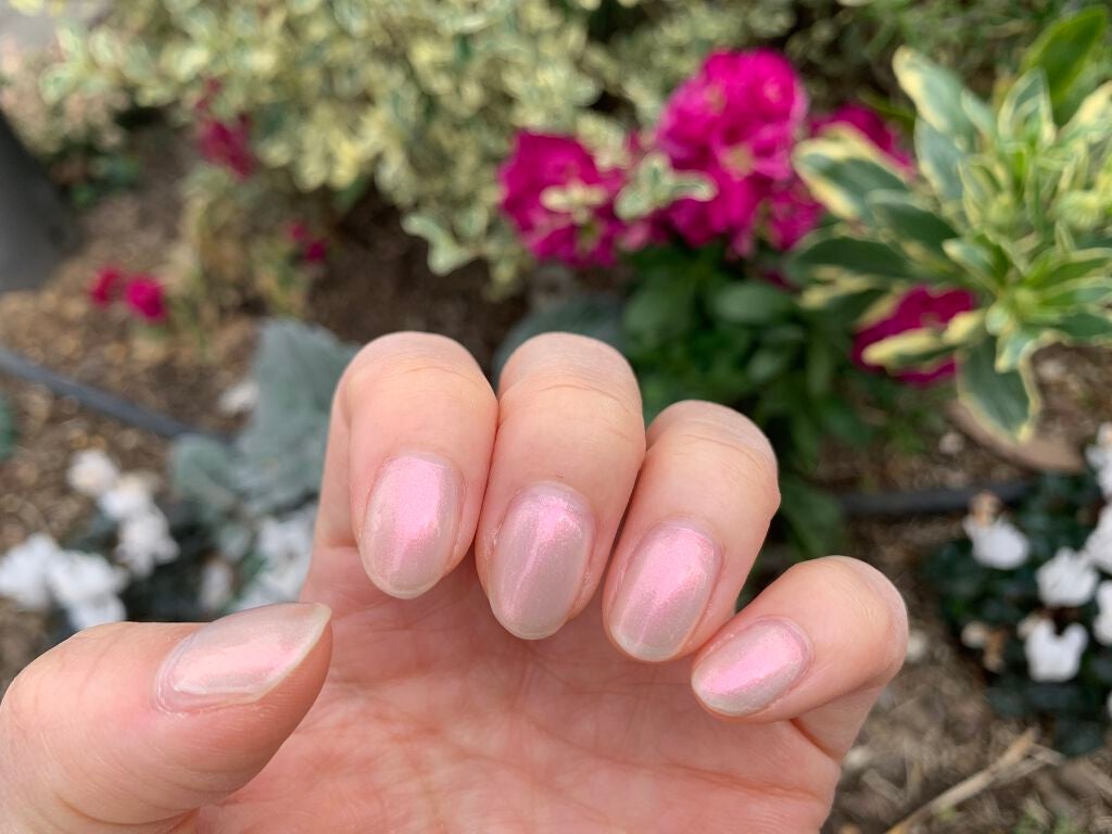 ヴェルニ ロング トゥニュ/CHANEL/マニキュアを使ったクチコミ(2枚目)