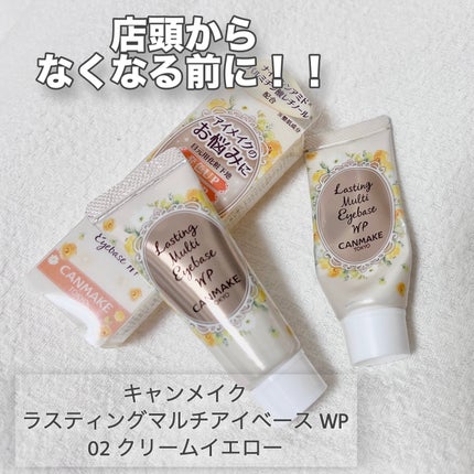 ラスティングマルチアイベース WP/キャンメイク/アイシャドウベースを使ったクチコミ(1枚目)