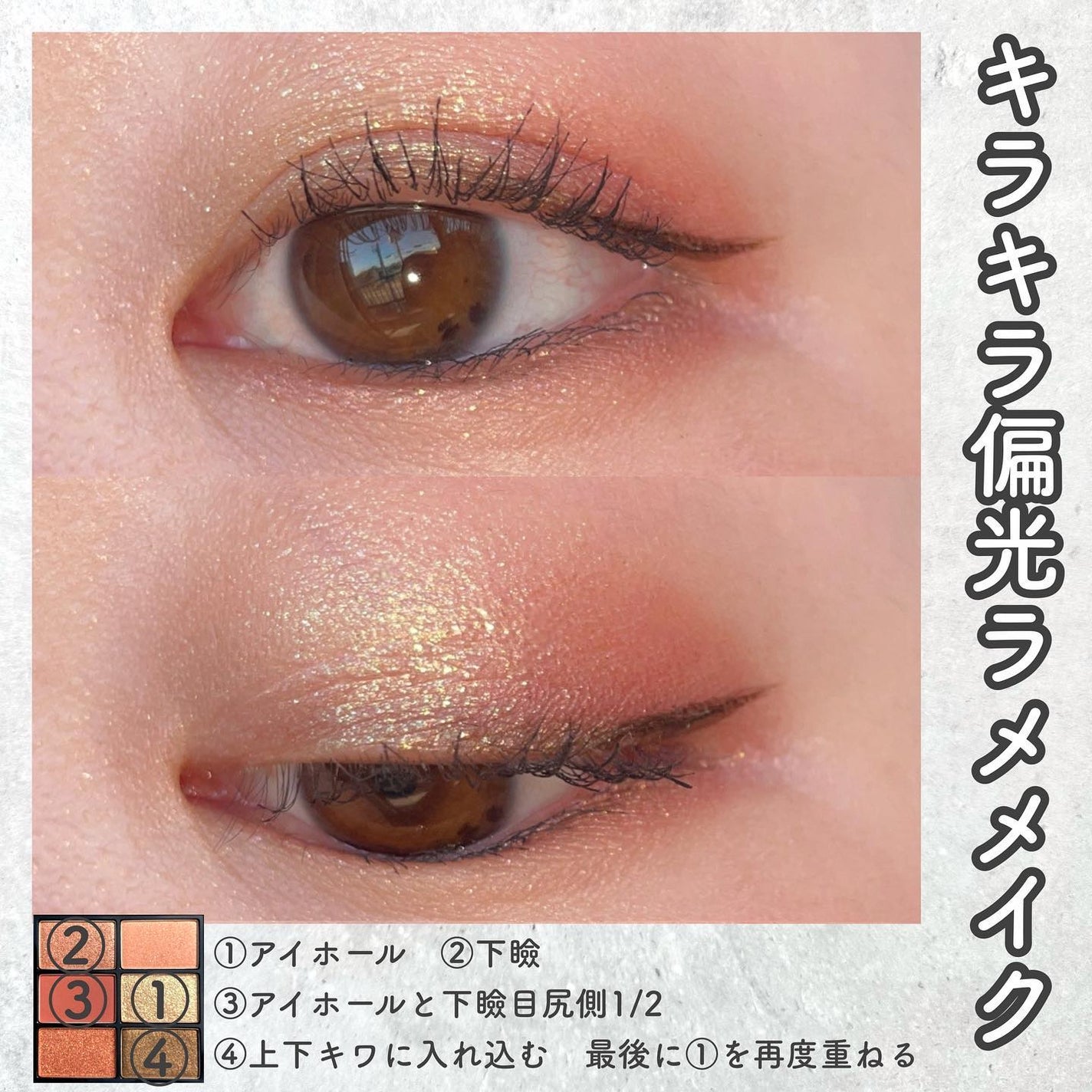 バタフライダガー アイシャドー パレット(限定)/shu uemura/アイシャドウパレットを使ったクチコミ(4枚目)