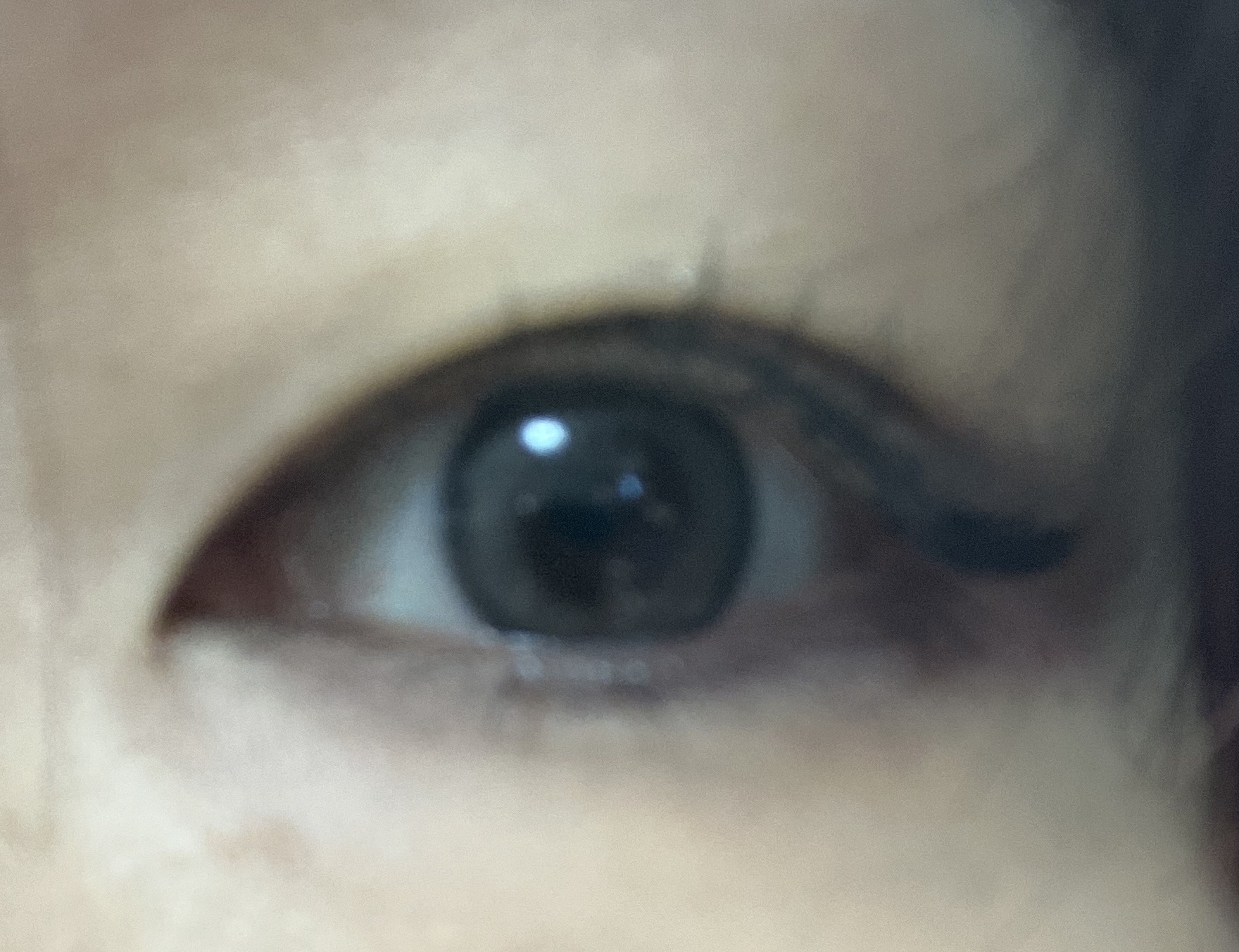 アイメイクベース/CEZANNE/アイシャドウベースを使ったクチコミ（2枚目）