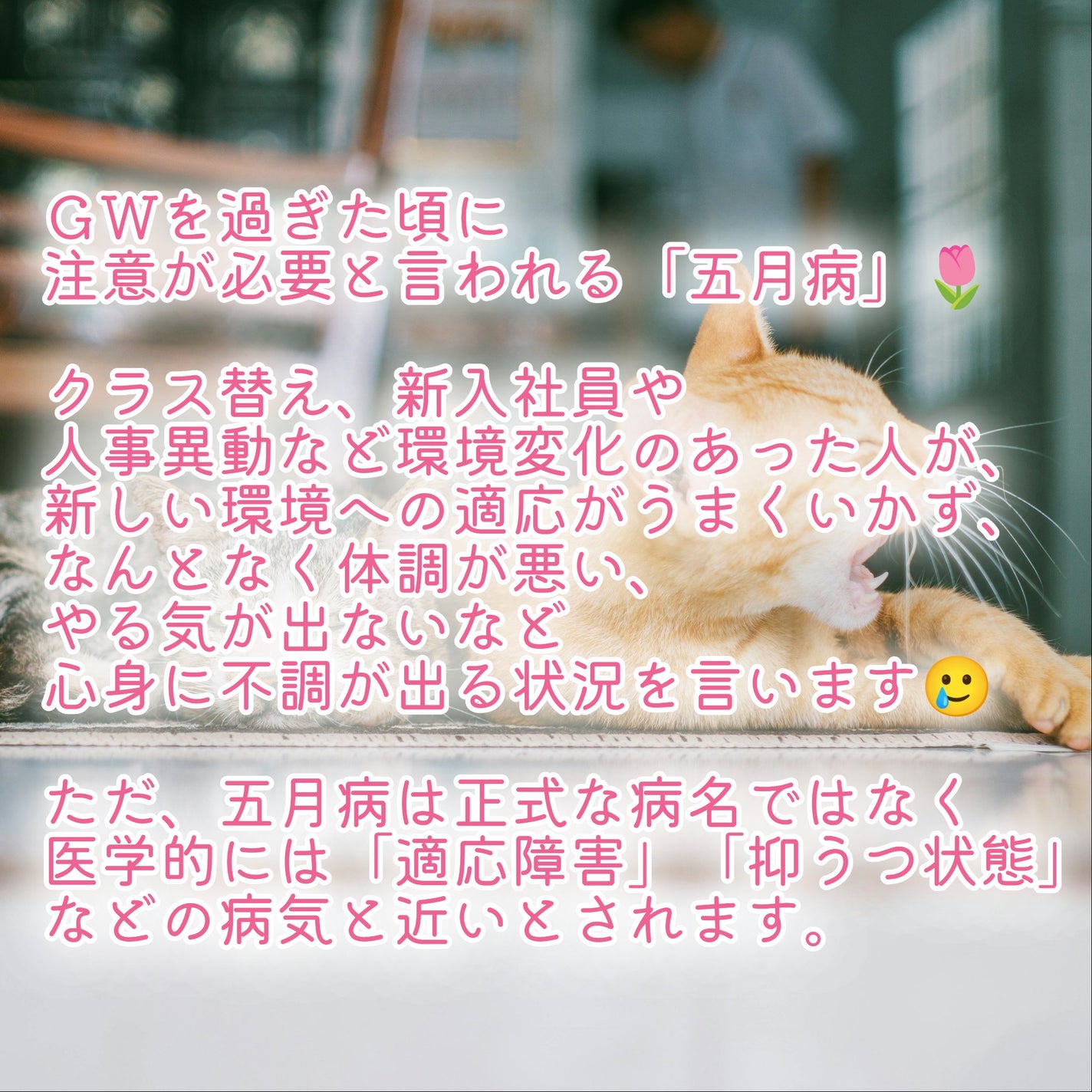 ðãŸã/ãã©ããð on LIPS ãðã¿ããªã§äºæç
ãã§ãã¯ïŒðã¡ãªã¿ã«ãŸãã¯æ¥ã«ã¹ãã¬ã¹ãæãã..ãïŒ3æç®ïŒ