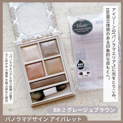 パノラマデザイン アイパレット/Visée/アイシャドウパレットを使ったクチコミ(2枚目)