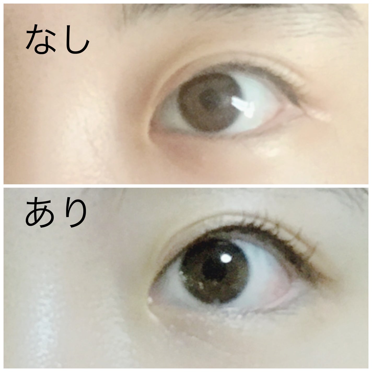 ミゼルエディ アンダーキープマスカラ/ミゼルエディ/マスカラを使ったクチコミ(3枚目)