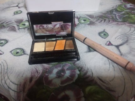 デザイニングブラウンアイズ/KATE/アイシャドウパレットを使ったクチコミ(1枚目)